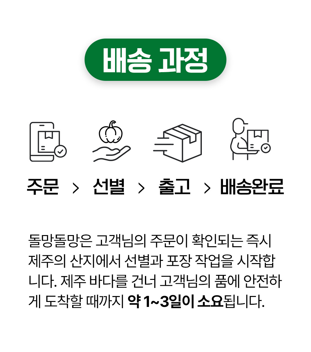 돌망돌망 제주 미니밤호박, 특상품, 5kg, 1개