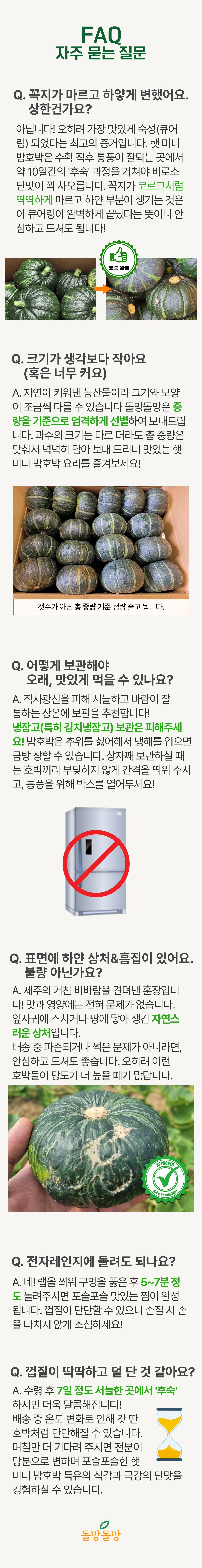 돌망돌망 제주 미니밤호박, 특상품, 5kg, 1개