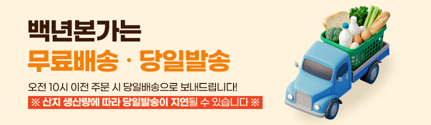 백년본가 프리미엄 유럽종 완숙 토마토 못난이, 주스용, 5kg, 1개