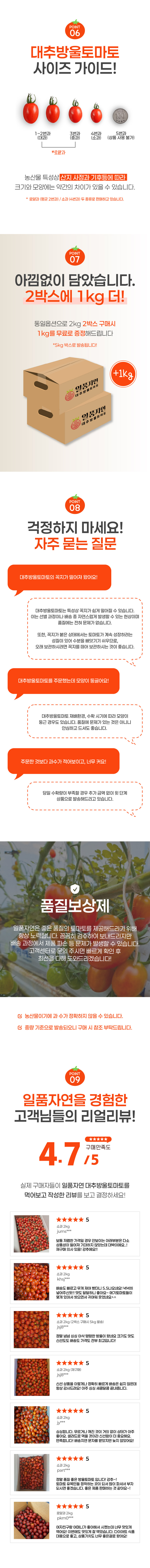 일품자연 대추방울토마토, 소과, 2kg, 1개