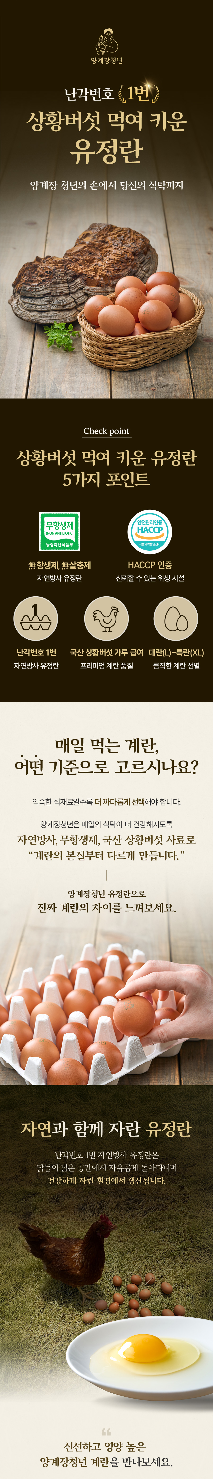 양계장청년 난각1번 자연방사 상황버섯 먹여 키운 무항생제 유정란 달걀, 60구, 1박스 상세 이미지 1