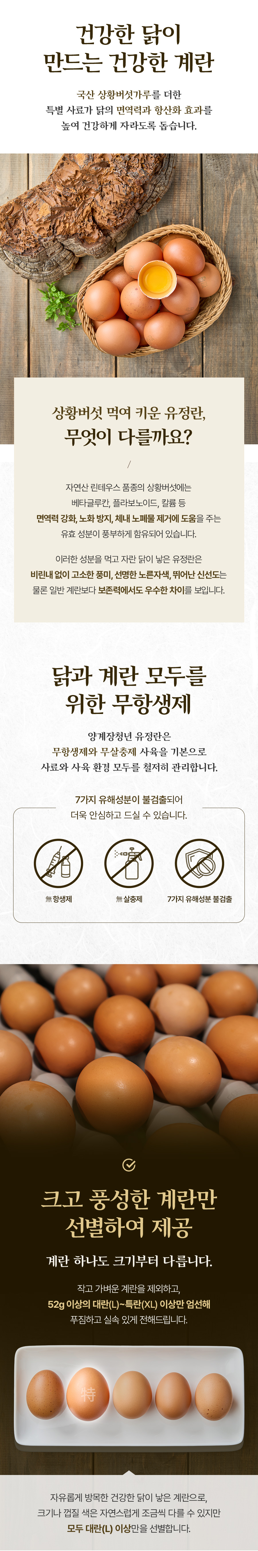 양계장청년 난각1번 자연방사 상황버섯 먹여 키운 무항생제 유정란 달걀, 60구, 1박스 상세 이미지 3