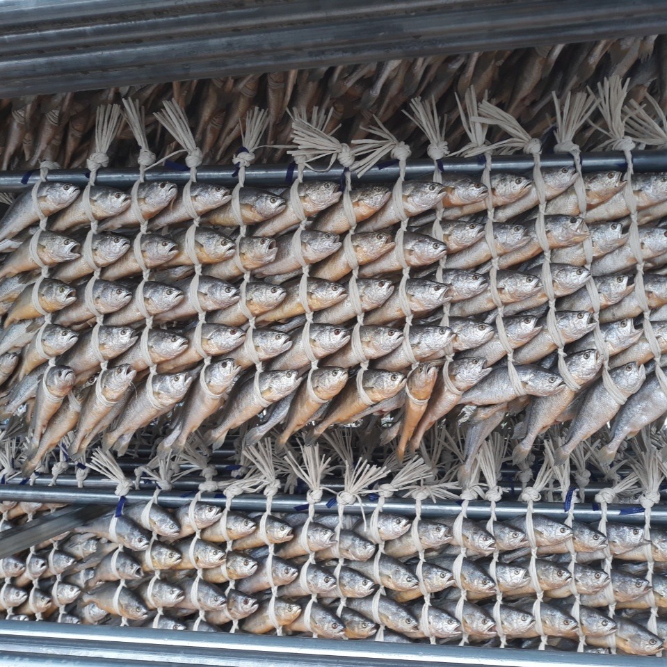 법성포 보리굴비, 특대, 30cm급, 1.2kg, 5마리, 1봉 상세 이미지 3