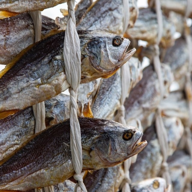 법성포 보리굴비, 특대, 30cm급, 1.2kg, 5마리, 1봉 상세 이미지 2