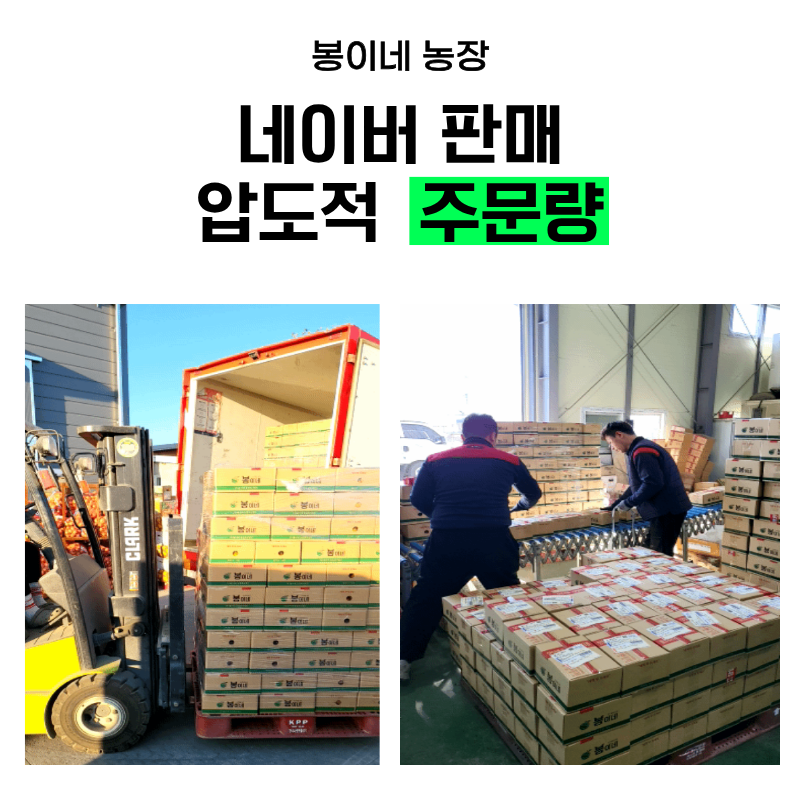 연유맛 꿀메론, 특품, 특대과, 4kg, 2수, 1박스