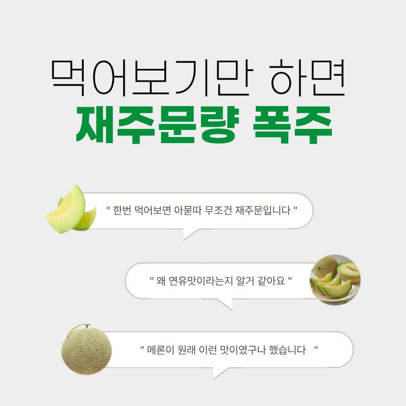 연유맛 꿀메론, 특품, 특대과, 4kg, 2수, 1박스