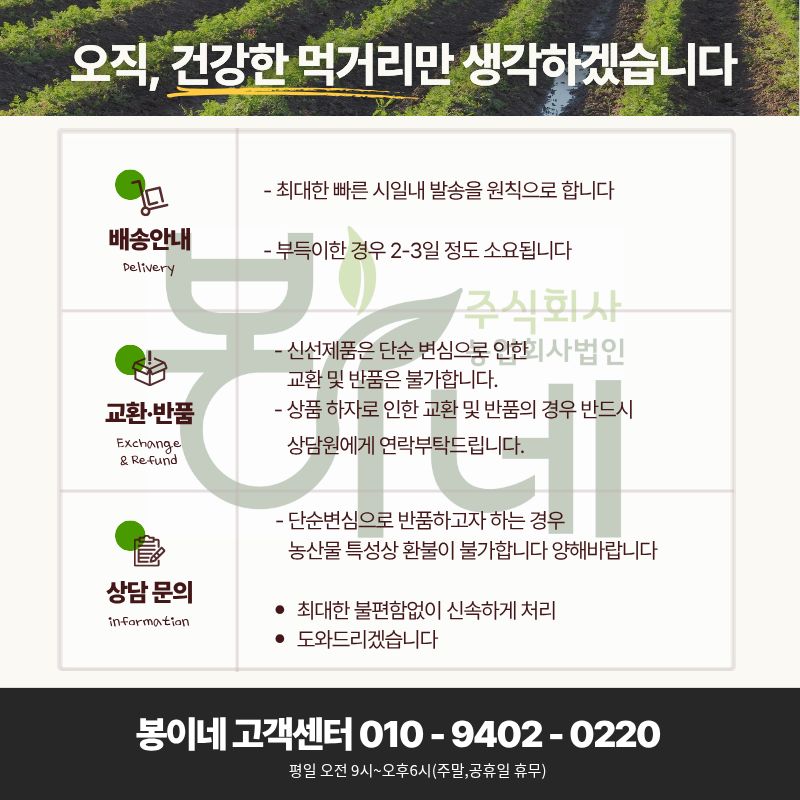 연유맛 꿀메론, 특품, 특대과, 4kg, 2수, 1박스