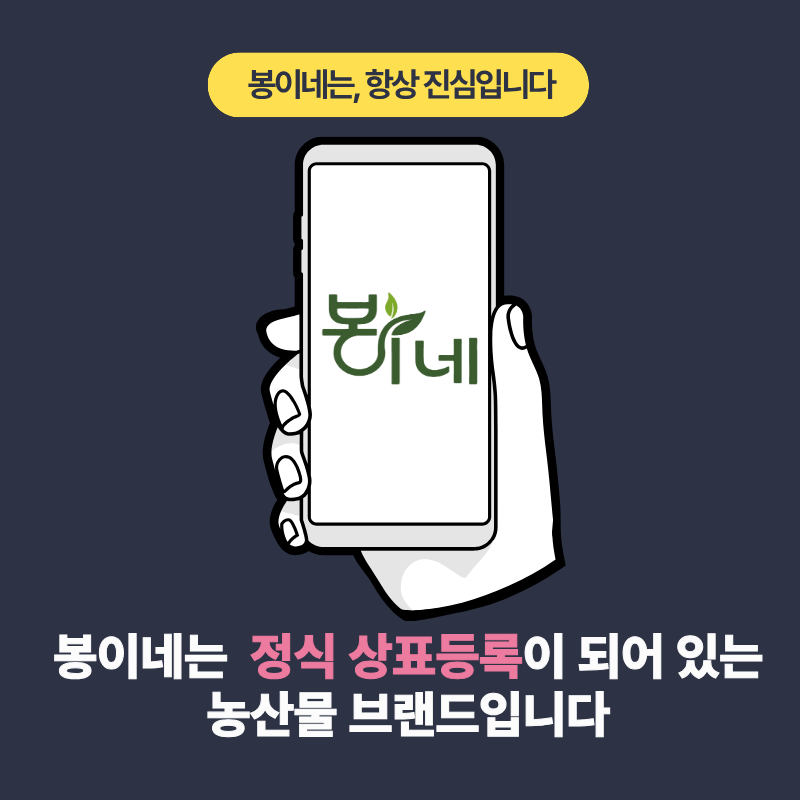 연유맛 꿀메론, 특품, 특대과, 4kg, 2수, 1박스
