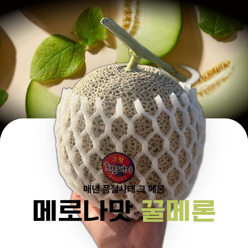 연유맛 꿀메론, 특품, 특대과, 4kg, 2수, 1박스