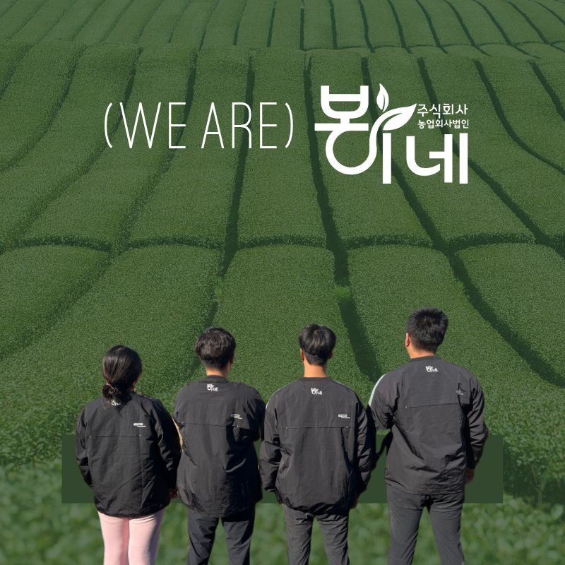 연유맛 꿀메론, 특품, 특대과, 4kg, 2수, 1박스