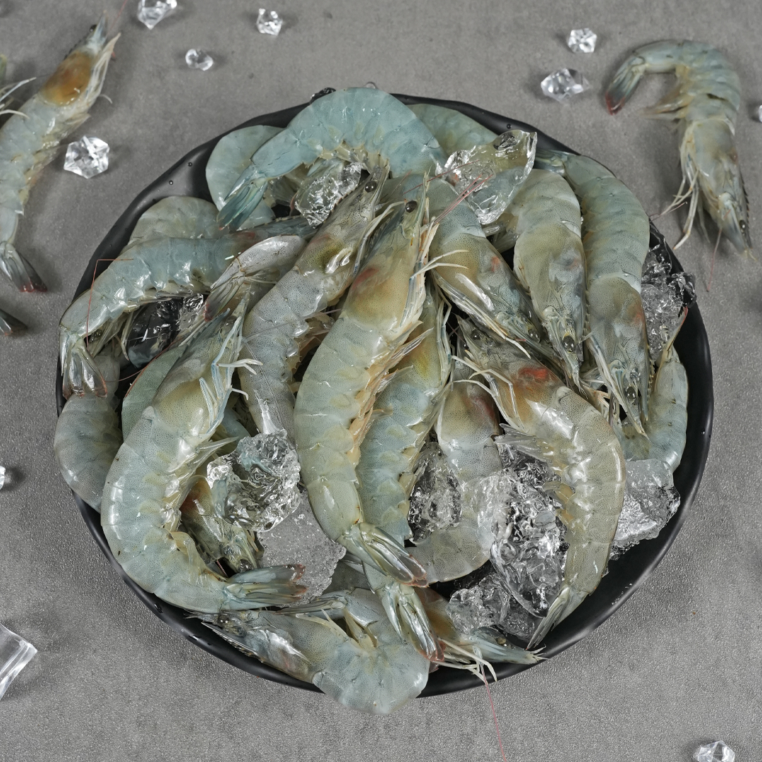 수산특공대 활 흰다리새우, 500g, 17-20미 내외, 1개 상세 이미지 4