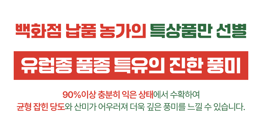 백년본가 프리미엄 유럽종 완숙 토마토 못난이, 주스용, 5kg, 1개