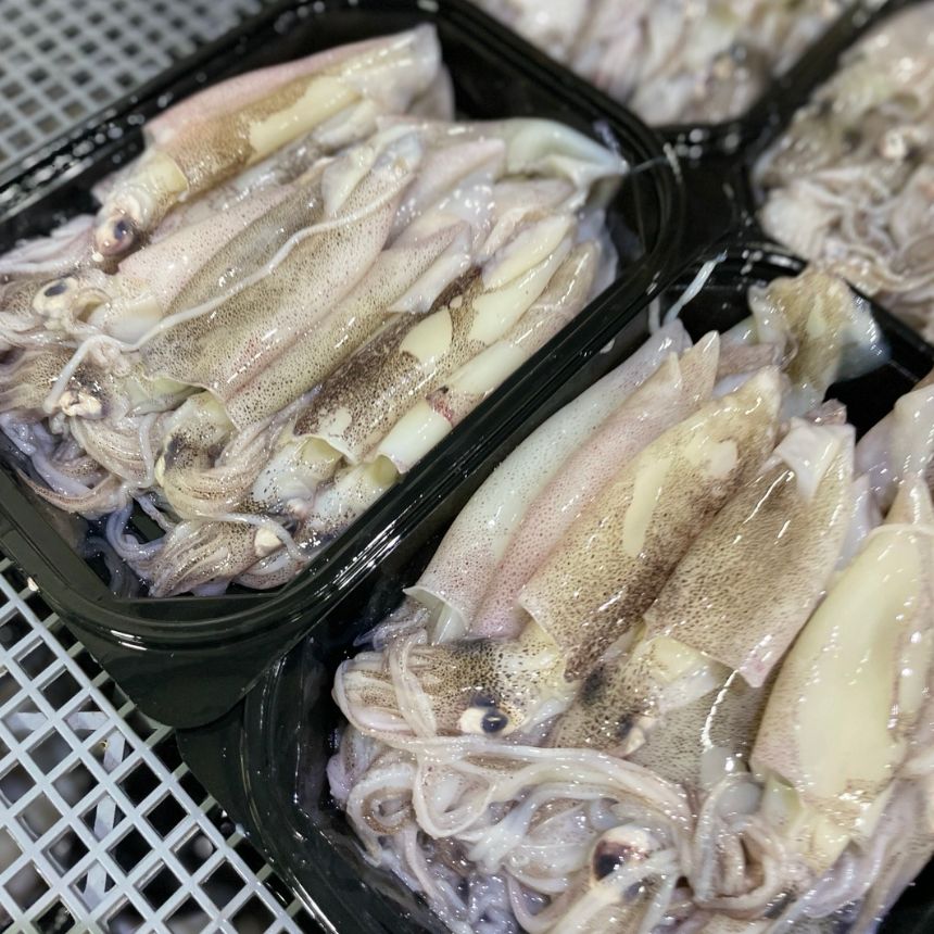 자연산 총알한치 통찜용, 15-23미, 500g, 2개 상품 이미지 1
