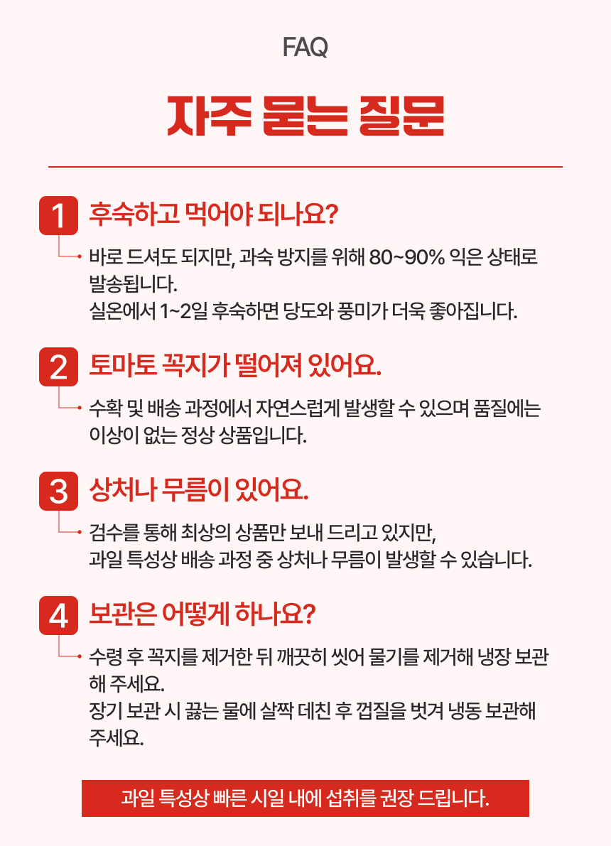백년본가 프리미엄 유럽종 완숙 토마토 못난이, 주스용, 5kg, 1개