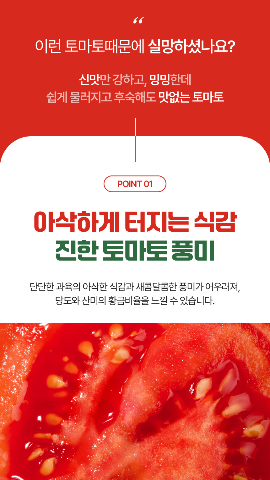 백년본가 프리미엄 유럽종 완숙 토마토 못난이, 주스용, 5kg, 1개