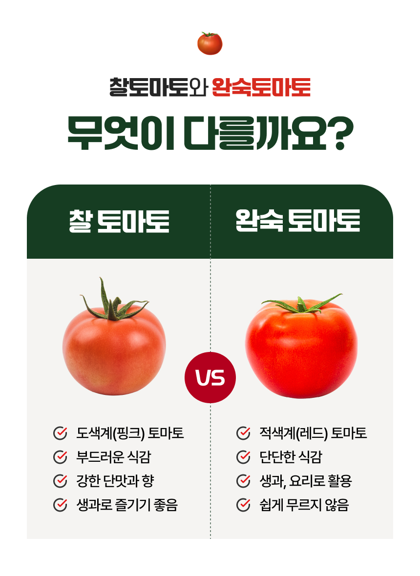 백년본가 프리미엄 유럽종 완숙 토마토 못난이, 주스용, 5kg, 1개