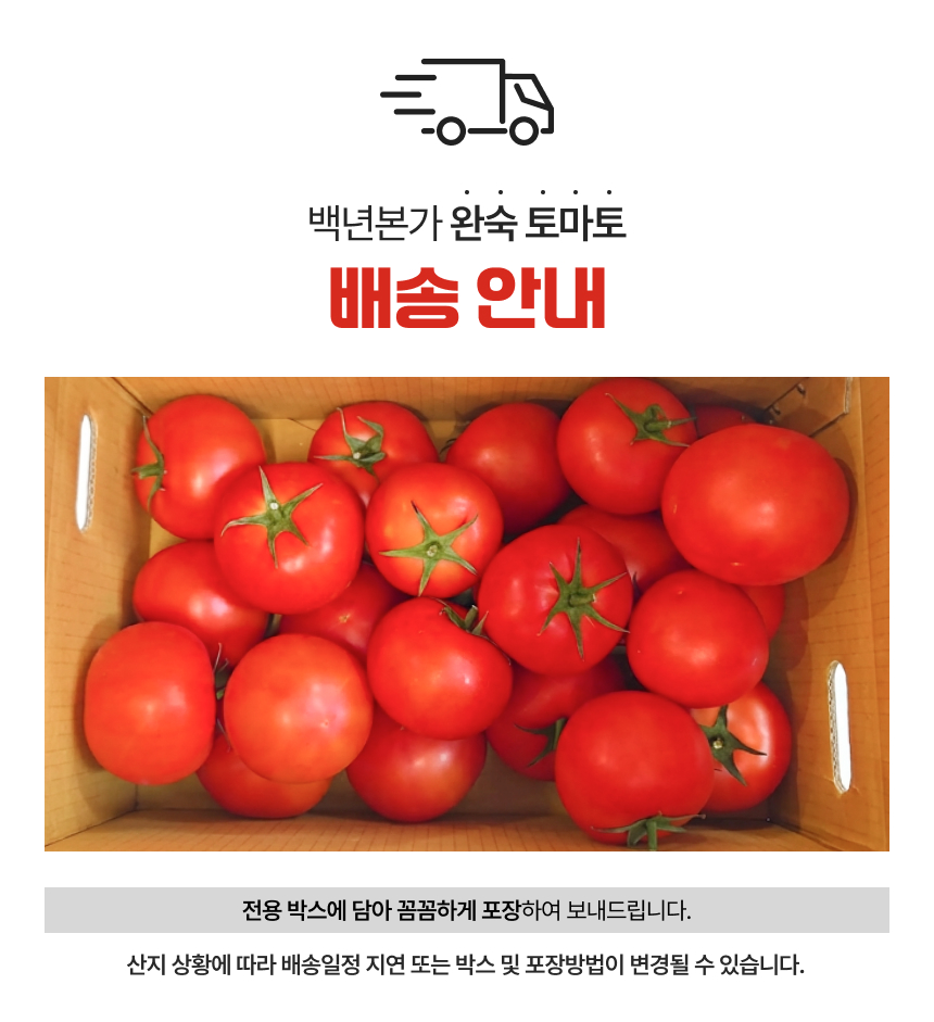 백년본가 프리미엄 유럽종 완숙 토마토 못난이, 주스용, 5kg, 1개