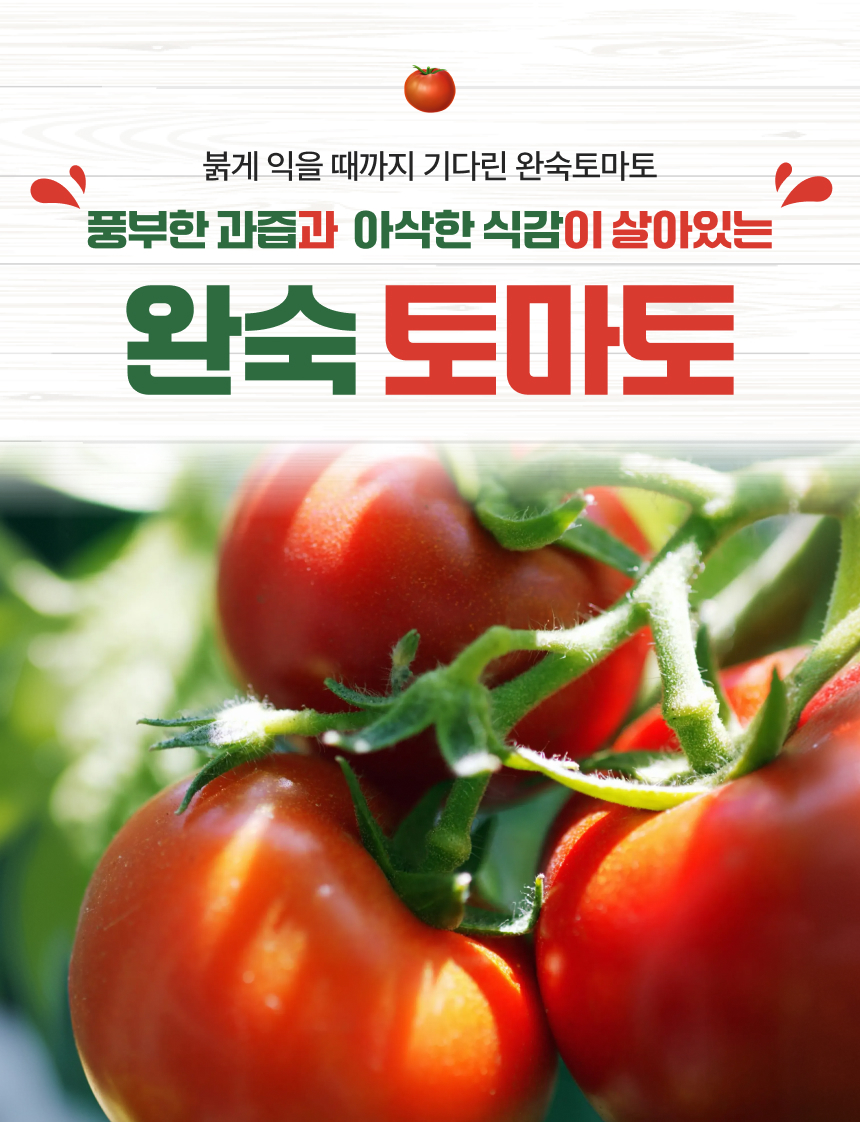 백년본가 프리미엄 유럽종 완숙 토마토 못난이, 주스용, 5kg, 1개