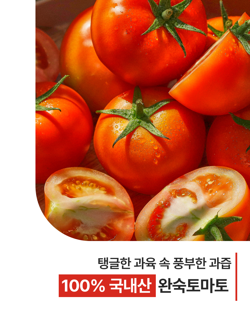 백년본가 프리미엄 유럽종 완숙 토마토 못난이, 주스용, 5kg, 1개