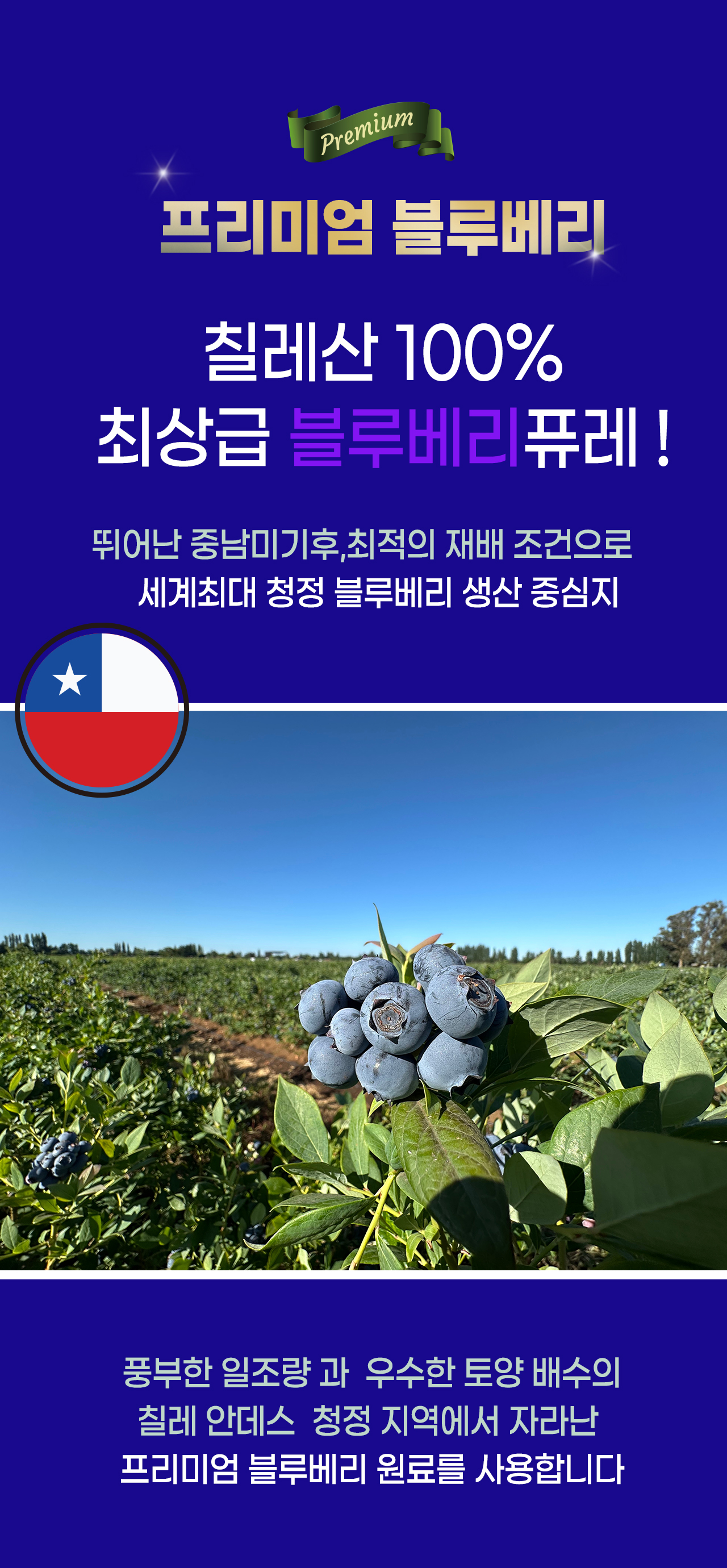 리쥬엑스 프리미엄 블루베리 퓨레 100%, 13g, 10포, 1박스 상세 이미지 4