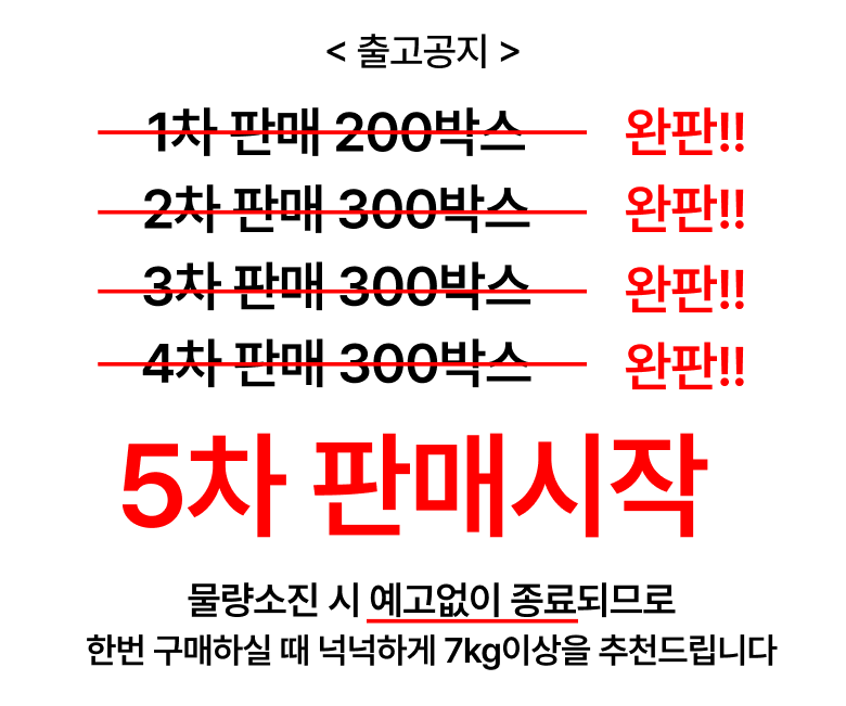 예스픽스 가정용 꿀수박, 5kg, 1개 상세 이미지 2