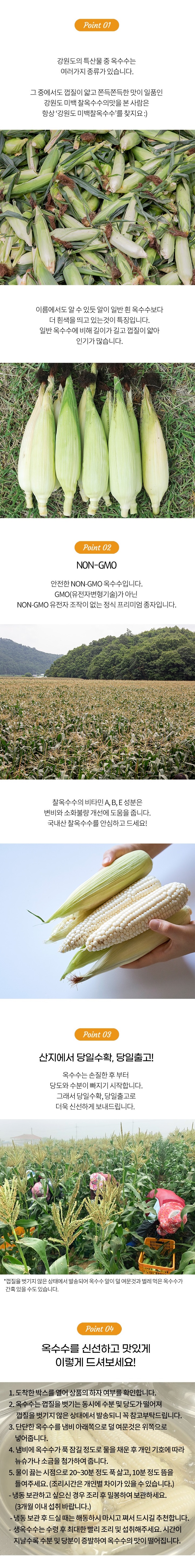 강원도 찰옥수수, 특, 10개 상세 이미지 4