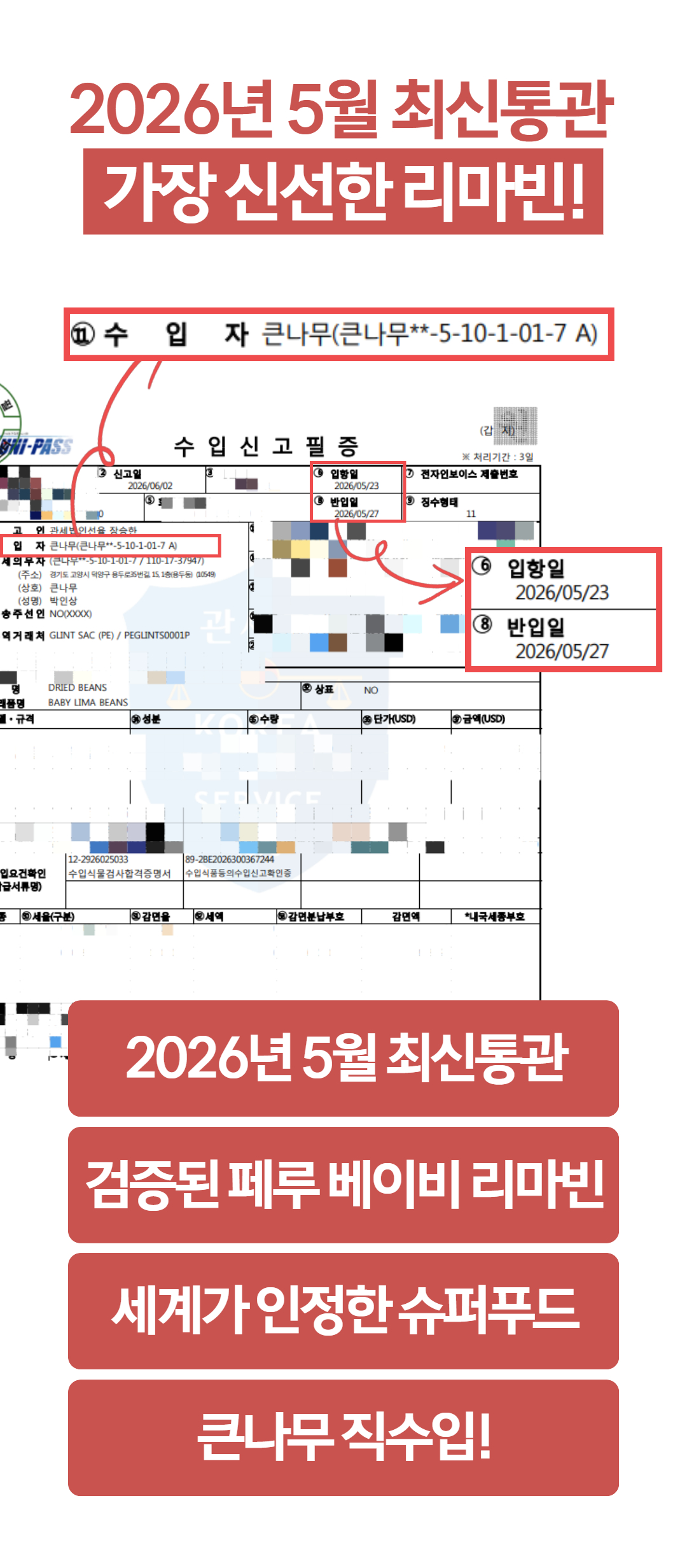 큰나무 직수입 페루산 베이비 리마빈 리마콩, 1kg, 1개