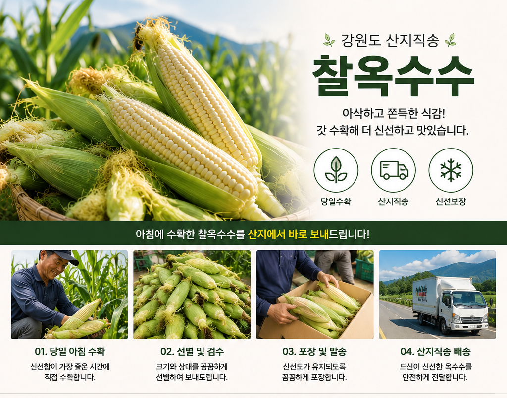 강원도 찰옥수수, 특, 10개 상세 이미지 1