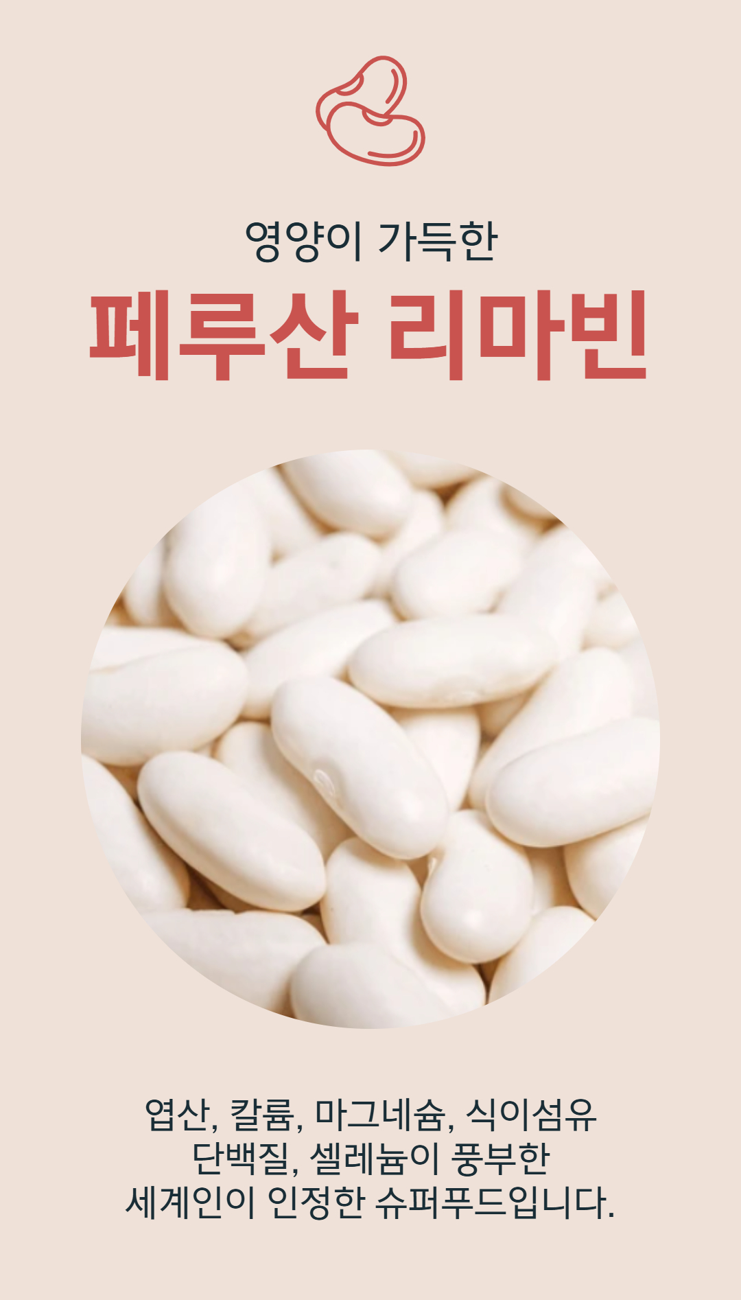 큰나무 직수입 페루산 베이비 리마빈 리마콩, 1kg, 1개