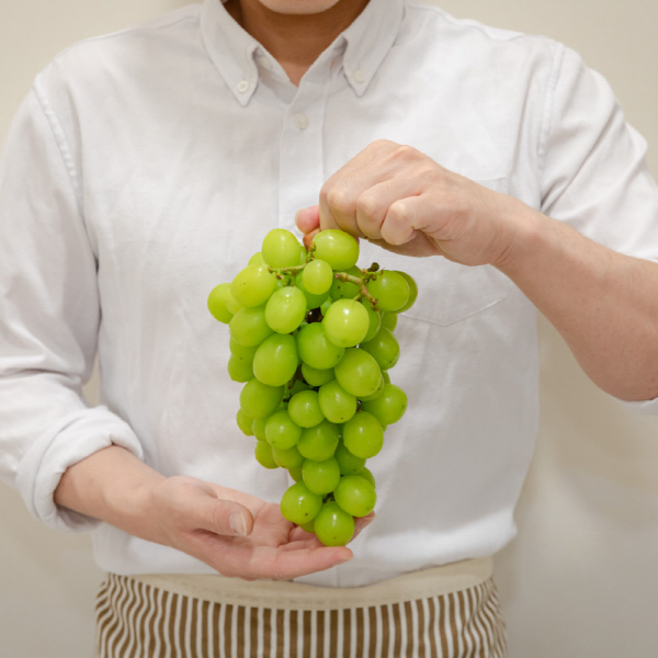 대박농수산 샤인머스켓, 2~3수, 1kg, 1박스 상품 이미지 3