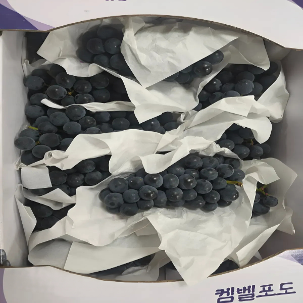 청과상회 캠벨포도, 1kg, 1개 상품 이미지 6