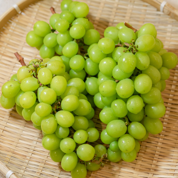 대박농수산 샤인머스켓, 2~3수, 1kg, 1박스 상품 이미지 4