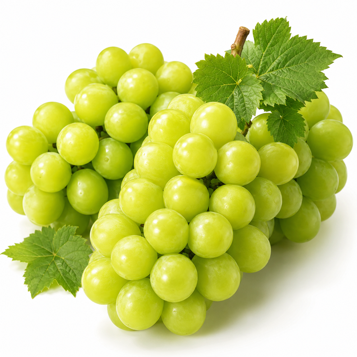 대박농수산 샤인머스켓, 2~3수, 1kg, 1박스 상품 이미지 1