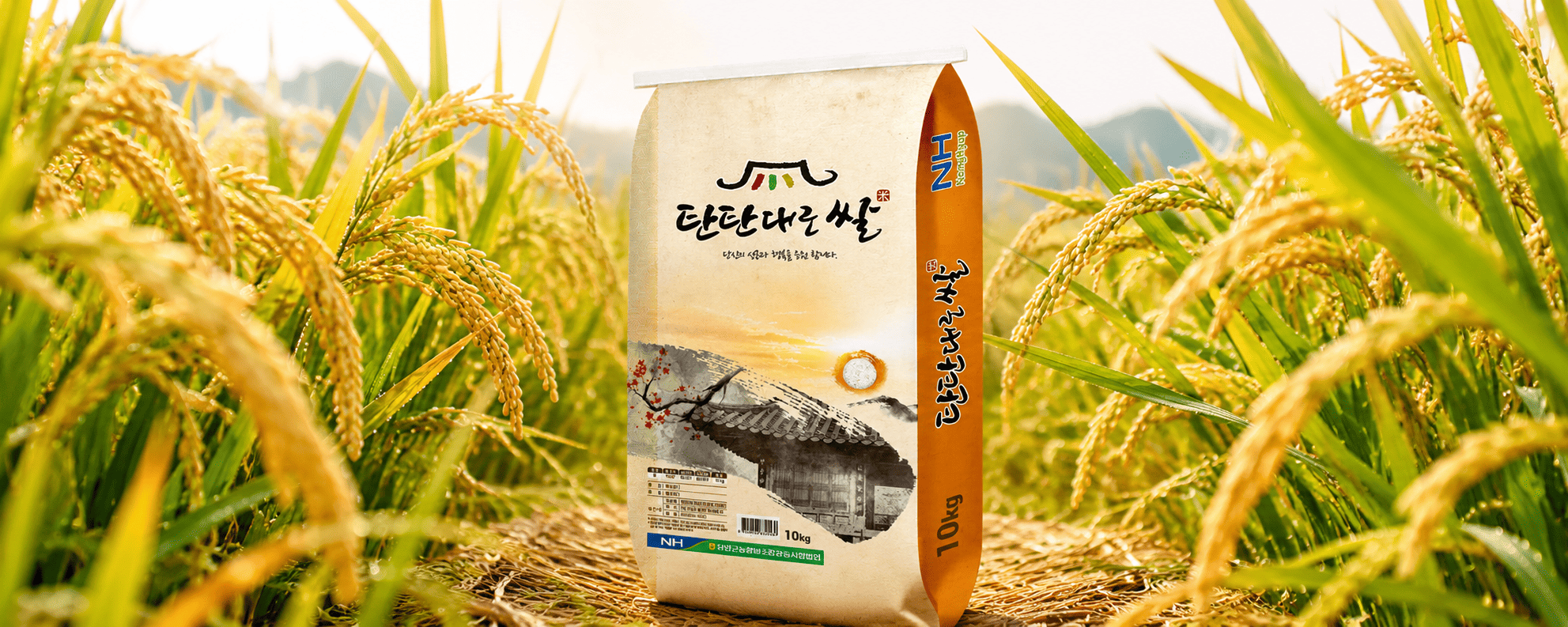 농협 단일품종 탄탄대로 쌀 새청무, 특등급, 10kg, 1개