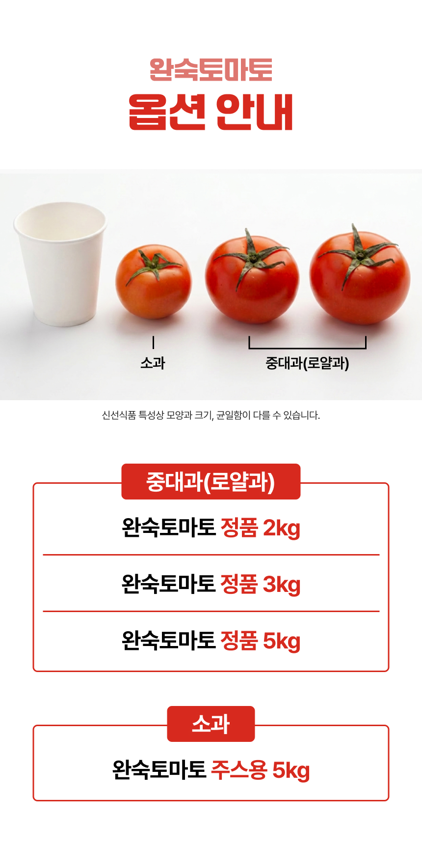 백년본가 프리미엄 유럽종 완숙 토마토 못난이, 주스용, 5kg, 1개
