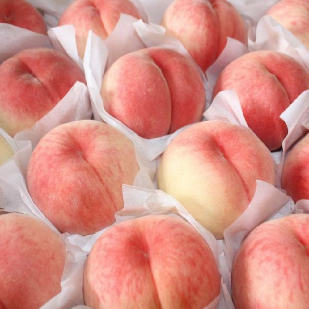 이모뜰 국내산 딱딱이복숭아, 대과, 2kg, 1개