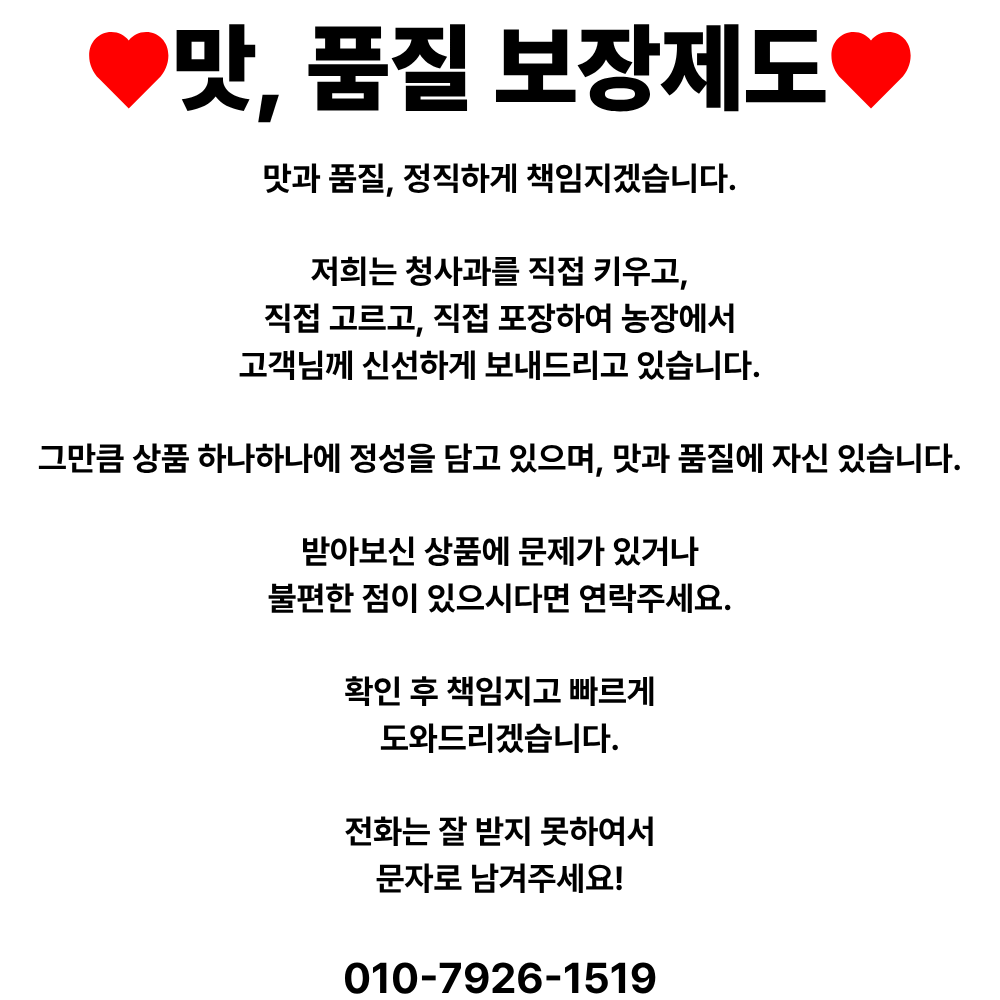 여름 청사과 썸머킹 썸머프린스 아오리, 소과, 3kg, 1박스 상세 이미지 3