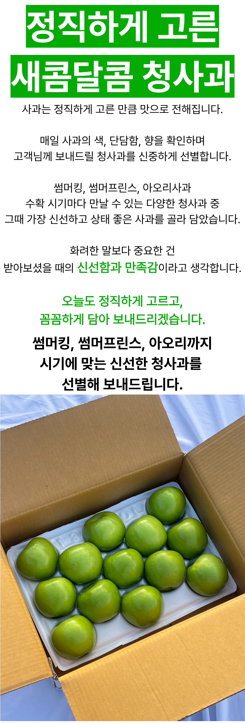 여름 청사과 썸머킹 썸머프린스 아오리, 소과, 3kg, 1박스 상세 이미지 1