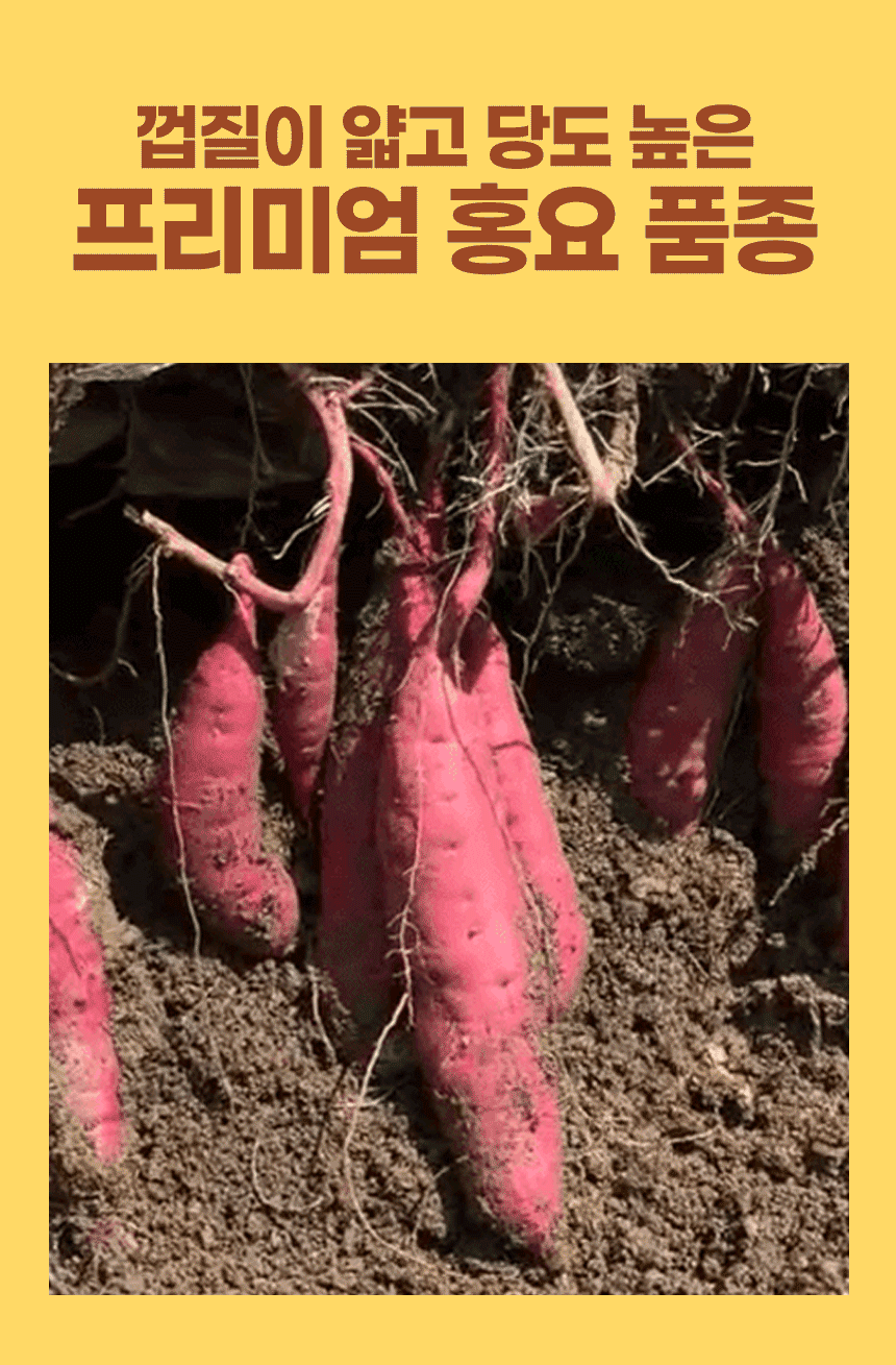 트루나 군고구마빠, 50g, 10팩