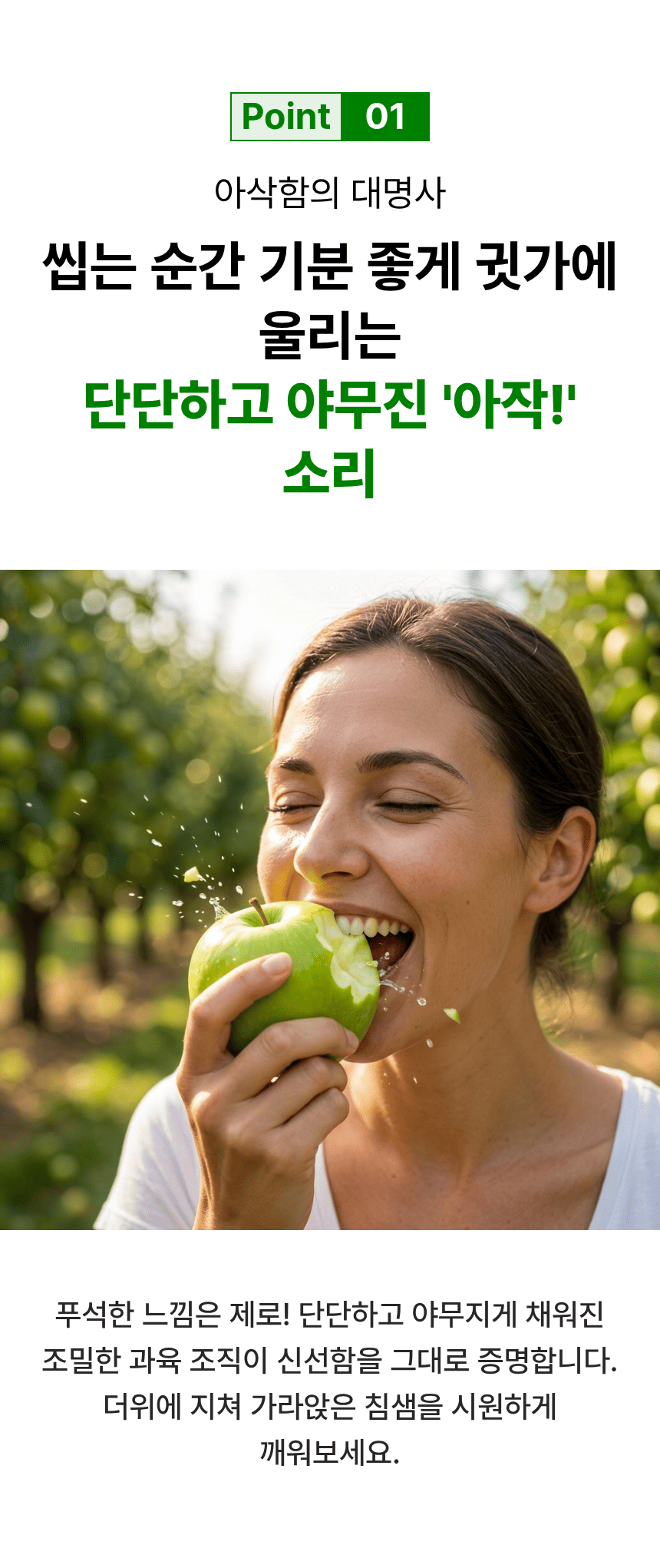 국내산 햇 청사과, 로얄과, 중소과, 2kg, 1박스