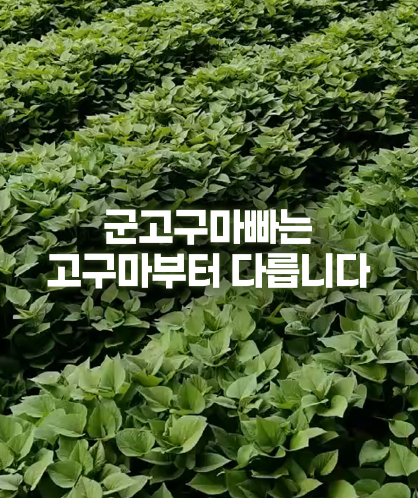 트루나 군고구마빠, 50g, 10팩