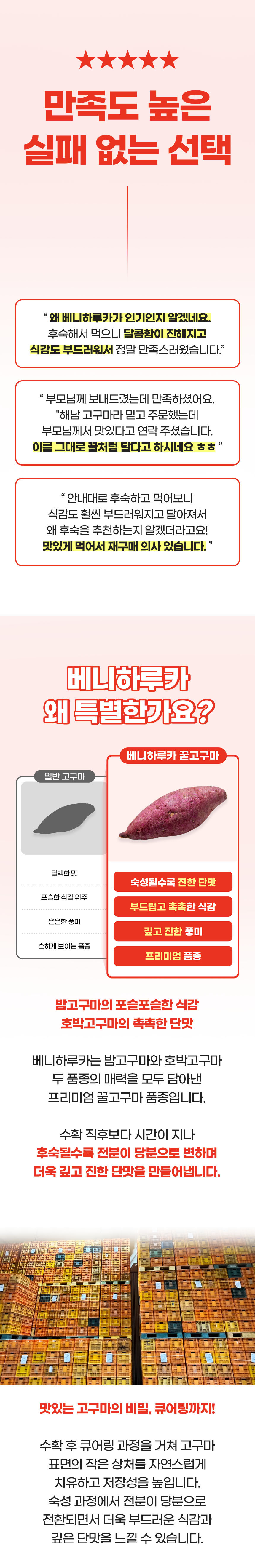 해남 꿀고구마 베니하루카, 한입, 3kg, 1개