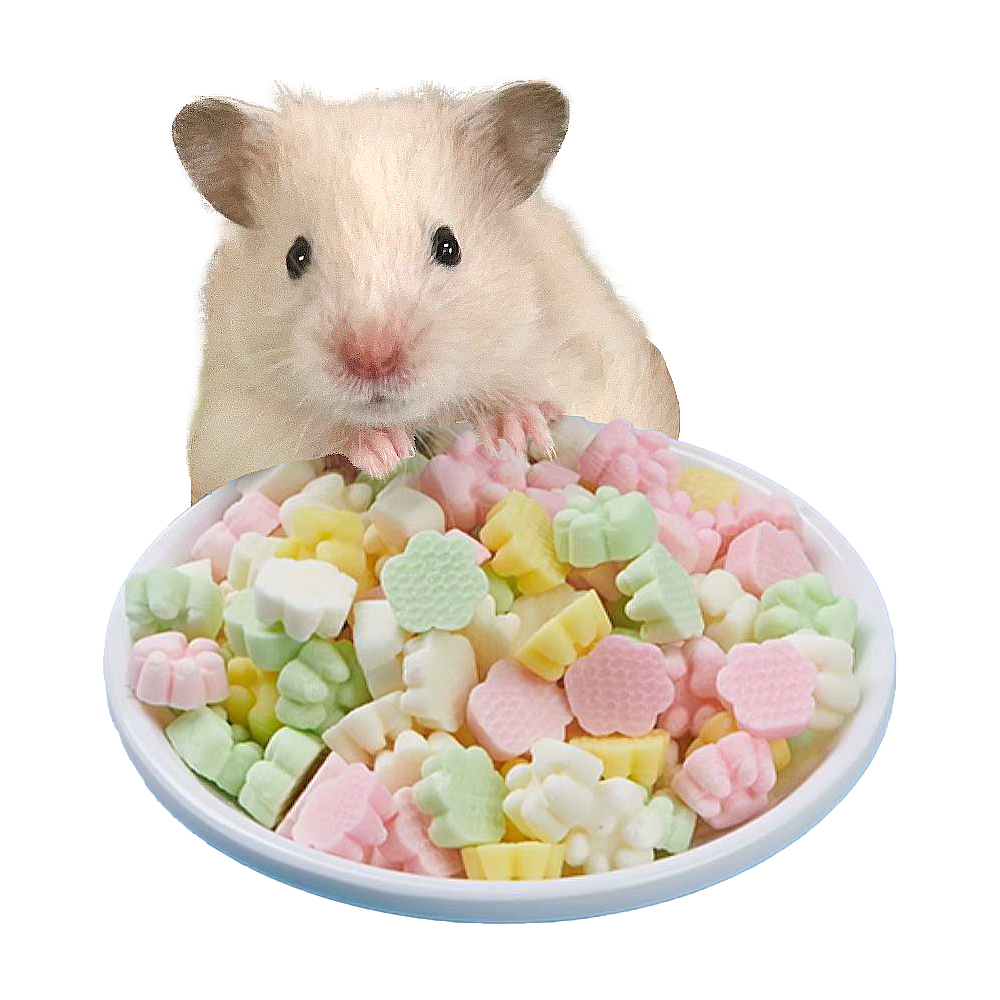 YEE 산양유 치즈케이크, 85g, 1개