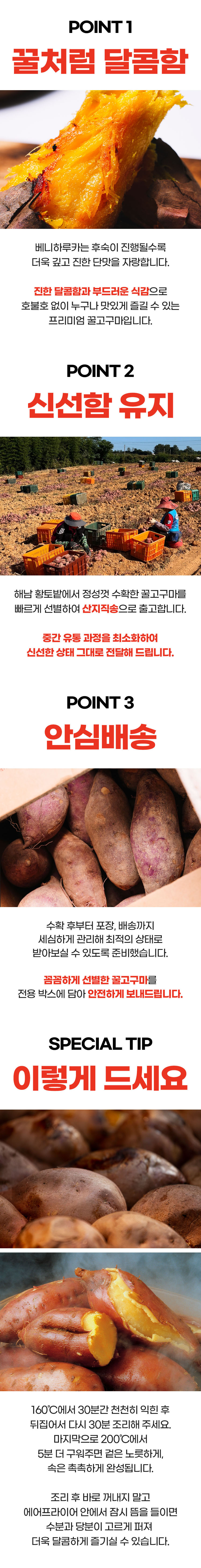 해남 꿀고구마 베니하루카, 한입, 3kg, 1개