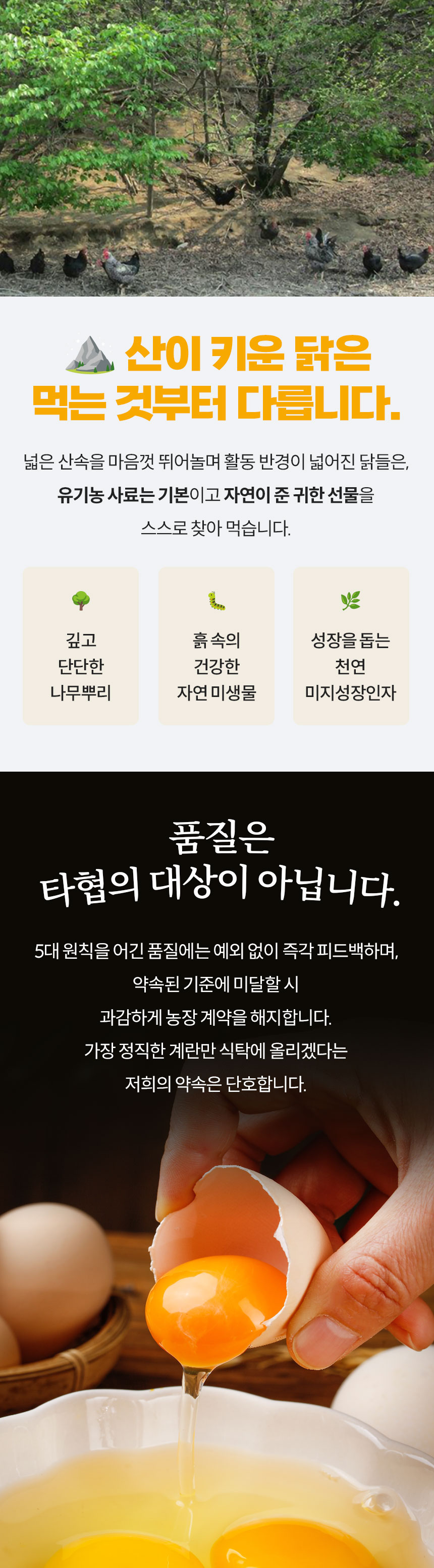 산들내음 산림방사 유정란, 난각번호 1번, 60구, 1박스