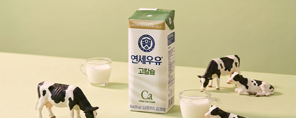 연세우유 고칼슘 멸균 흰우유, 180ml, 48개