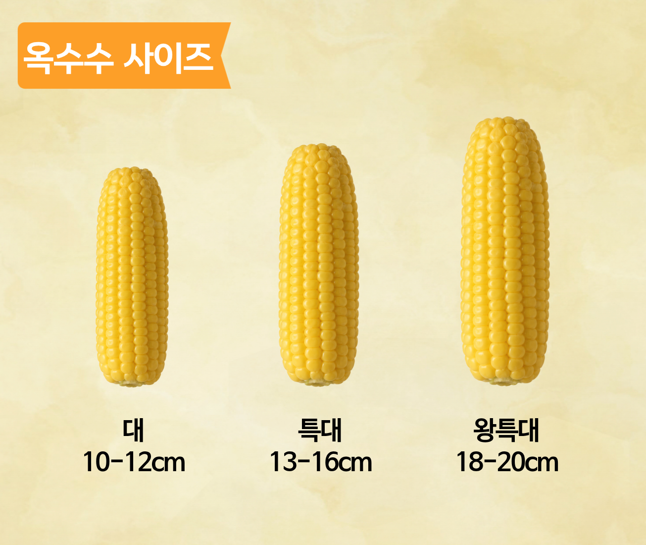 무첨가 냉동 찐 찰옥수수, 특대, 220g, 10개 상세 이미지 4
