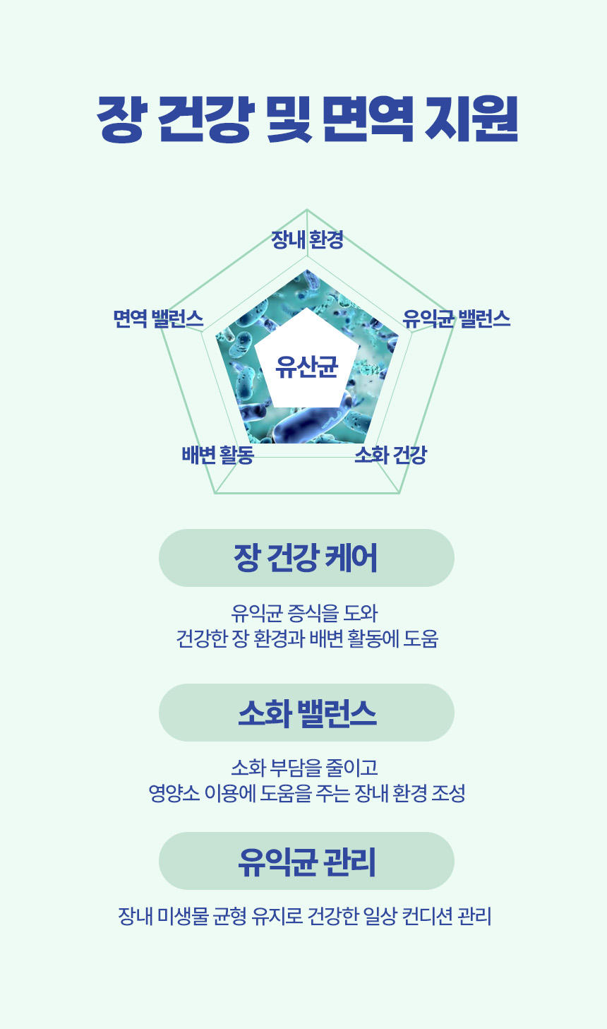 고양이 사료, 닭, 20kg, 1개 상세 이미지 6