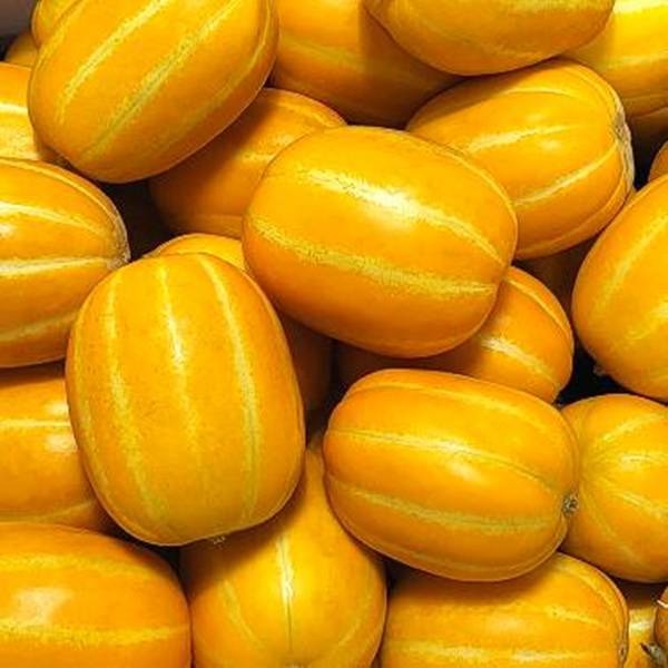 성주 꿀참외, 랜덤과, 10kg, 1박스  6,300원