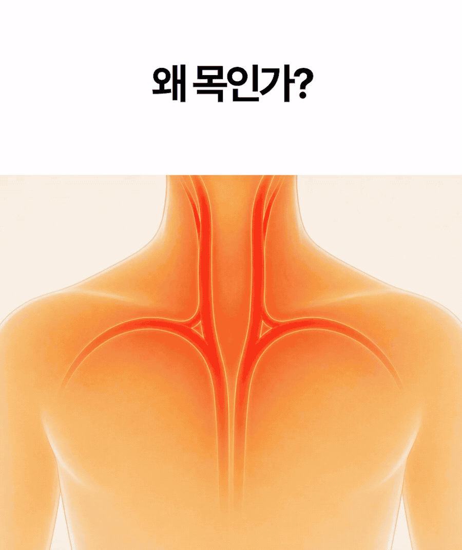 일감생활 프리미엄 아이스 넥쿨러, 블루, L, 1개